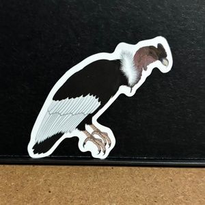 VULTURE BIRD STICKER